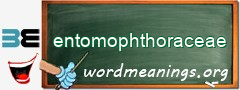 WordMeaning blackboard for entomophthoraceae